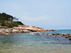 -广东惠东海龟国家级自然保护区