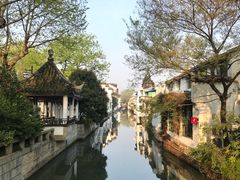 -随柳居·苏式小吃(建新巷店)