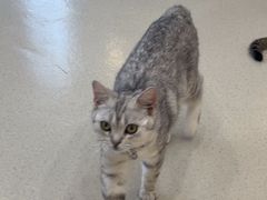 -共舞时光猫咖·狗咖(新街口店)