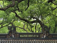 -普陀山风景名胜区-法雨禅寺