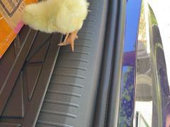 -北京山里寒舍度假酒店