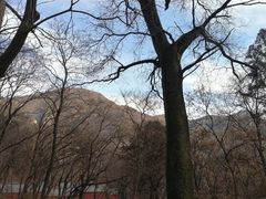 -北京上方山国家森林公园