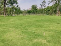 -后襄河公园