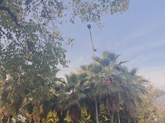 -海底捞火锅(世豪广场店)