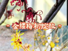 -国家植物园南园