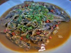 -全乐鱼馆·淳牌有机鱼直营店