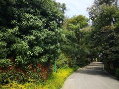 -蜀冈西峰生态公园