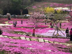 -棒棰岛宾馆景区