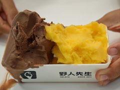 -野人先生现做冰淇淋(北京环宇荟店)