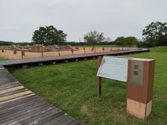 -盘龙城国家考古遗址公园