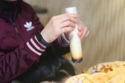 -愈元涵·手工艾灸