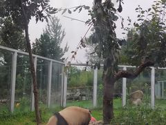 -西安秦岭野生动物园