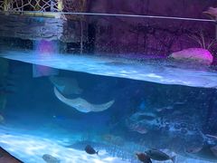 -沈阳海洋探索中心