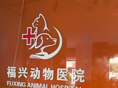-瑞派福兴宠物医院犬猫全科·骨科·中西医结合(河东店)