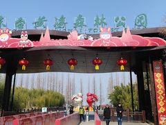 -黄海国家森林公园