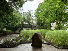 -绍兴鲁迅故里·沈园景区