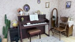 -可乐大王自然光儿童摄影(园区店)