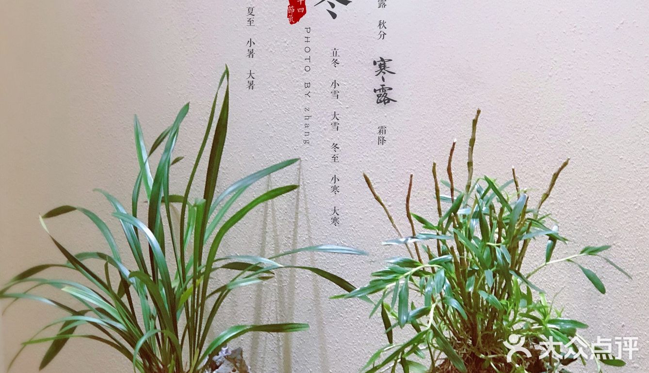海边不只有海鲜，也可以古风品茗
