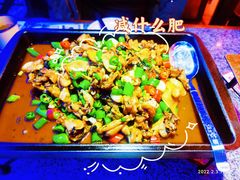 紫苏味招牌牛蛙锅-蛙来哒(湖州东吴银泰百货店)