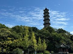 -江心屿景区
