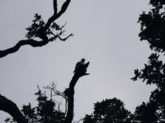-米内日亚国家公园
