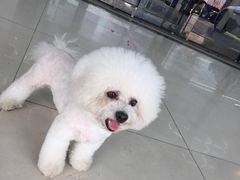 -康乐宝动物医院