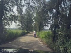 -万尾金滩