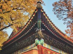 -香山公园