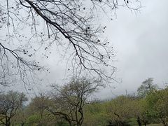-广州市石门国家森林公园