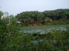 景点-月湖风景区