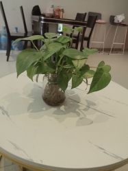 -Dr.林醫生产后修复·配方产康店(南京大厂店)