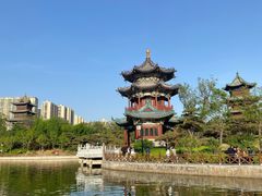 -迎泽公园