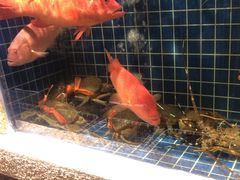 -东门头·江鲜小馆(新天地店)