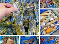 -四川小胡子海鲜(丁村万人海鲜广场店)