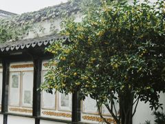 -惠山古镇·寄畅园