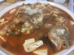 -煲来饱去冷水鱼