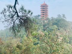-缙云山景区