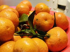 -龍歌自助小火锅(李沧顺和汇店)
