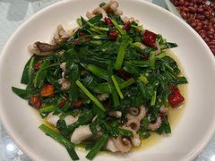 韭菜炒八爪鱼-双井轩(双井店)