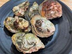 -蚝抵食·湛江生蚝(湾北路店)