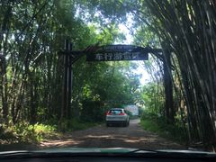 -海南热带野生动植物园