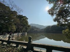 -阿育王寺