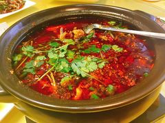 -胖大姐黄辣丁鱼庄(新津店)