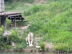 -宁波野生动物园