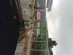 西湾土八灶-西湾土八灶· 旺山老字号农家菜
