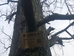-无锡梅园公园
