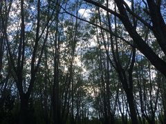 -奥林匹克森林公园南门-停车场