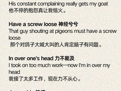 -引领英语·成人口语·雅思托福