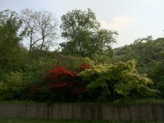 android_upload_pic-南山风景名胜区