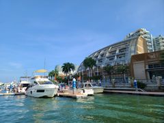 -小猫钓鱼海钓俱乐部(椰梦长廊店)